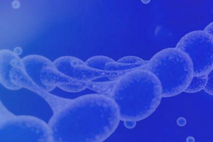 Exploring the Potential of Recombinant Adenovirus in Cancer Therapy