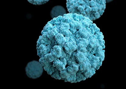 VIRUS PACKAGING