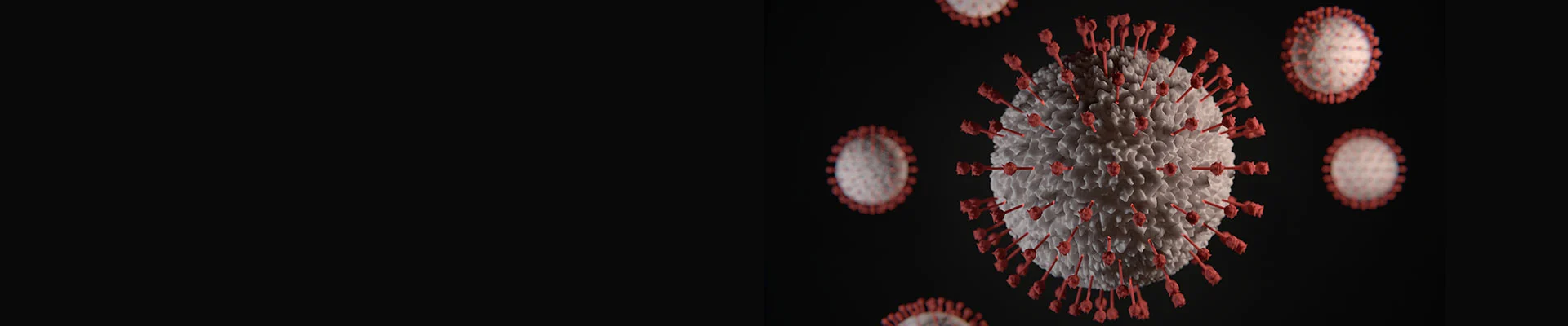 Virus Packaging Service