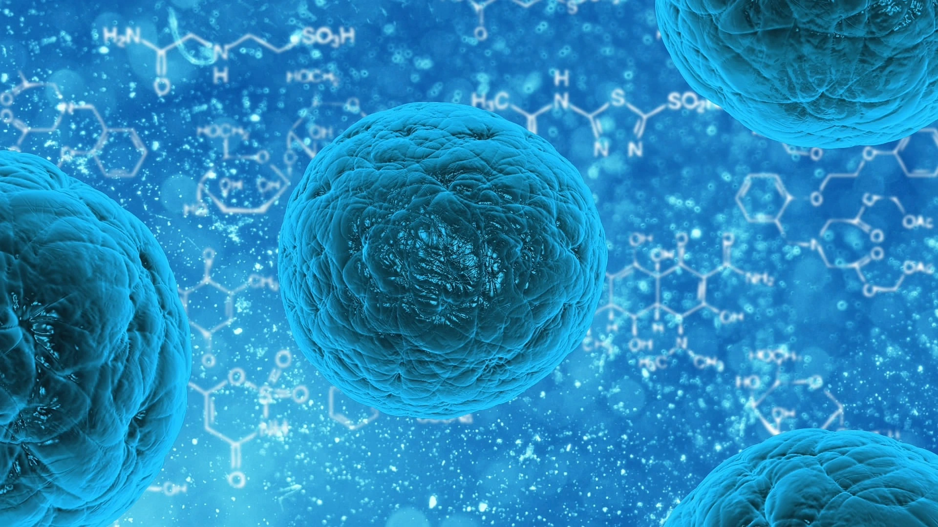 What Are The Commonly Used Virus Vectors?