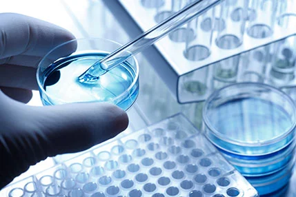 Exploring the Power of CRISPR/Cas9 Plasmid in Genetic Engineering
