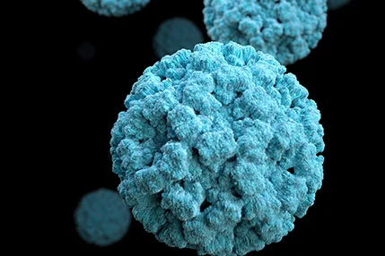 AAV Adeno Associated Virus Packaging: Efficient Solutions by Hanbio