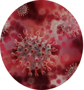 Lentivirus