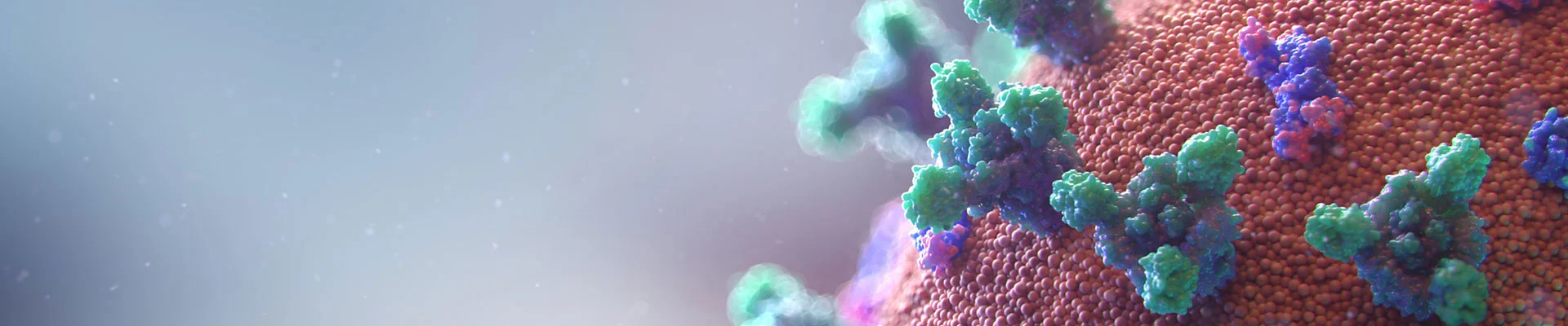 Focusing on Gene Regulation Services
