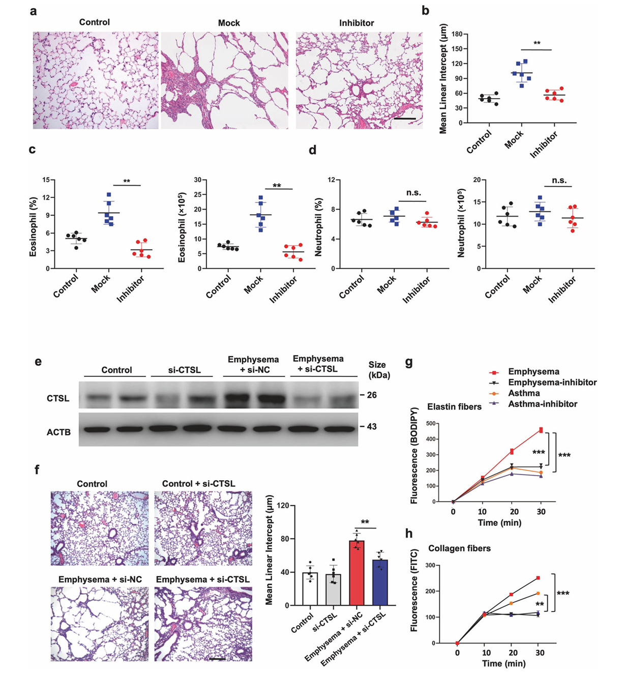 Adeno-associated Virus Cases