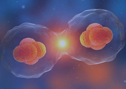 Autophagy Research