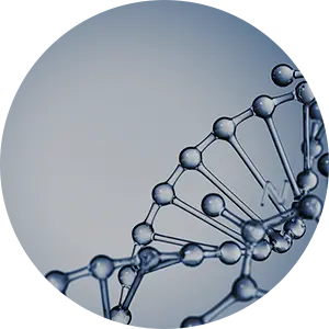 Plasmid Vector Construction