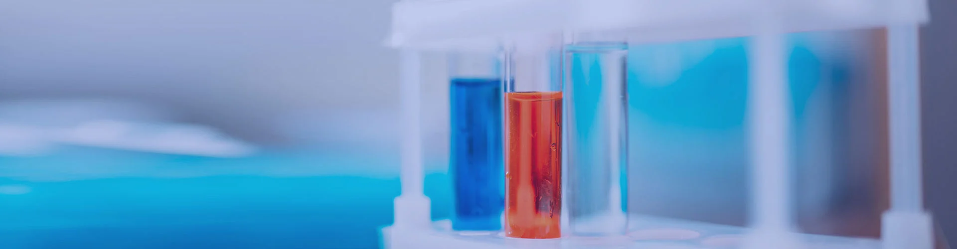 The Role of Transfection Reagent in Molecular Biology Experiments?