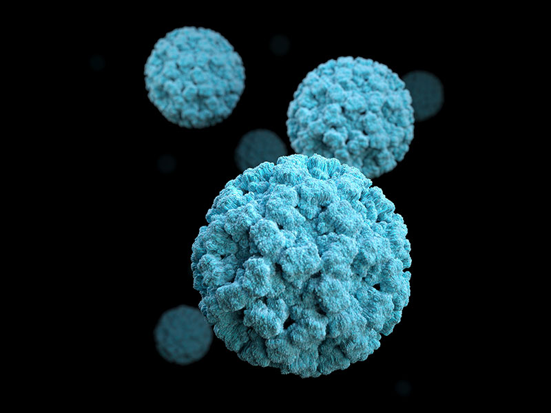 Adeno Associated Virus Packaging