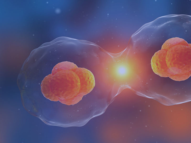 Unveiling the Secrets of Autophagy